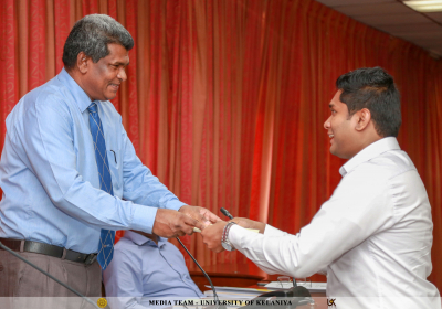 Consecutive Senate Awards for DMM Researchers